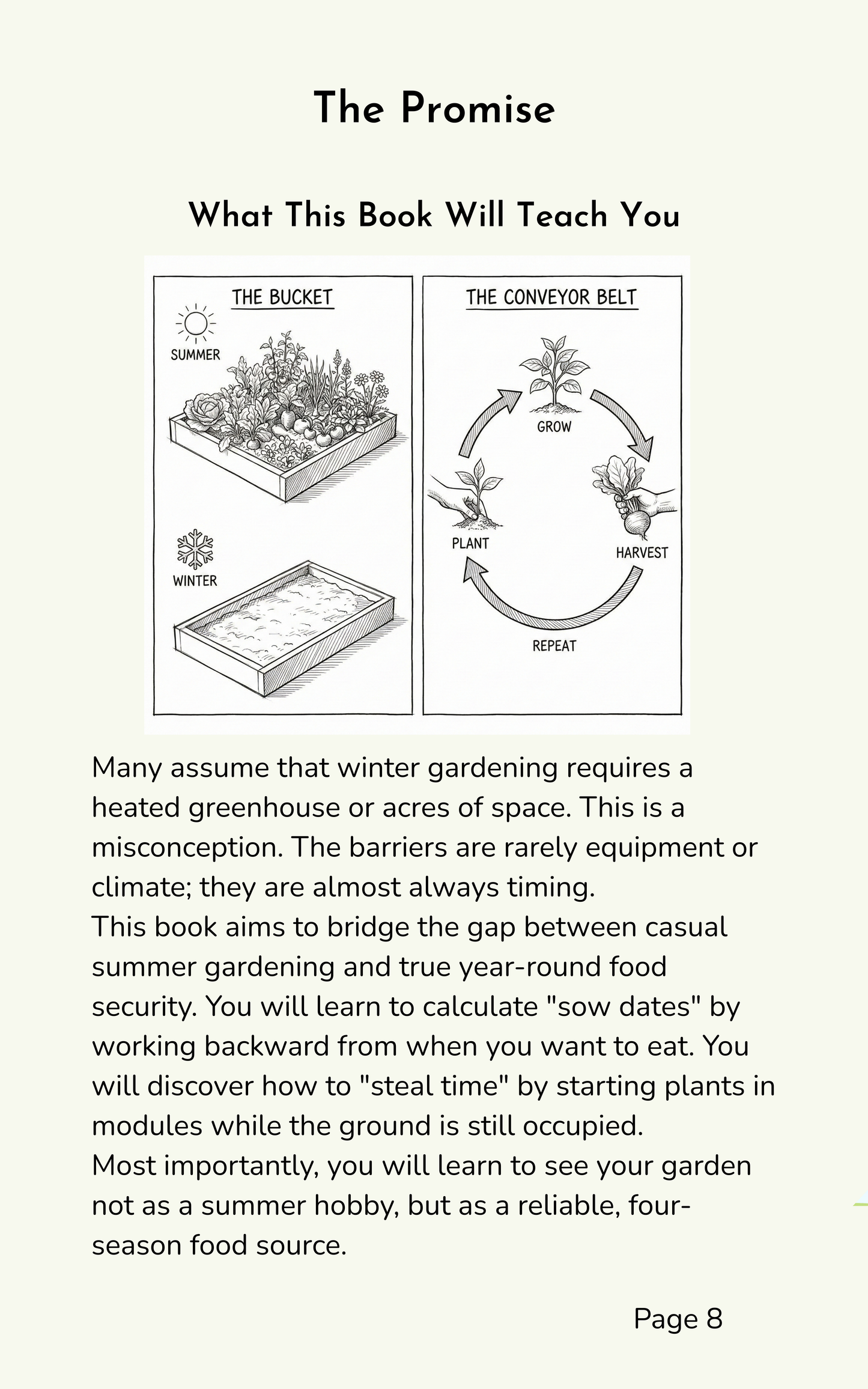 How to Plan a Year Round Harvest - Strategies for Continuous Crops in the Garden