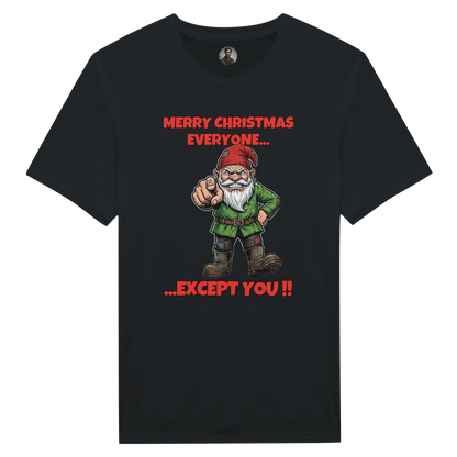 Merry Christmas Everyone - Gnome 1