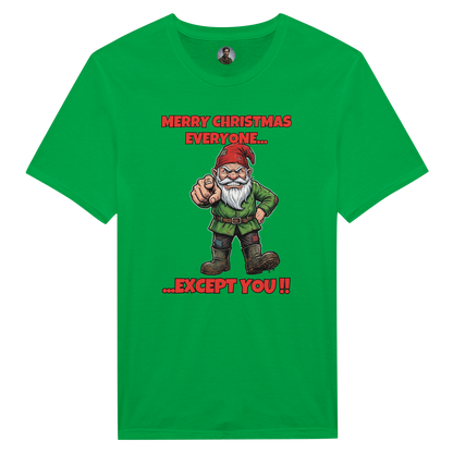 Merry Christmas Everyone - Gnome 1