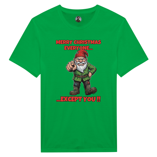 Merry Christmas Everyone - Gnome 1
