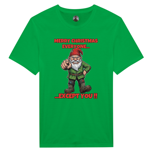 Merry Christmas Everyone - Gnome 1