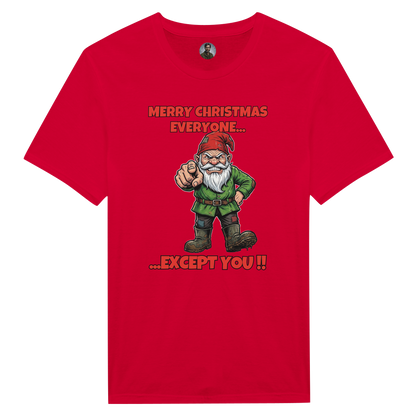 Merry Christmas Everyone - Gnome 1