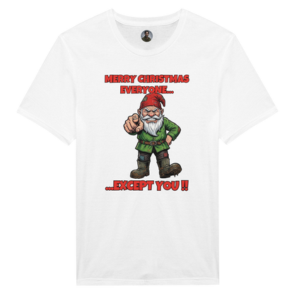 Merry Christmas Everyone - Gnome 1